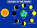 phases