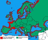 1551902515881