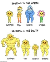 brazil seasons