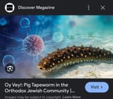Screenshot_20250625_102734_Google