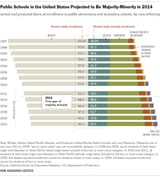 FT_14_08_13_MajorityMinority