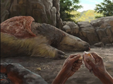 sloth