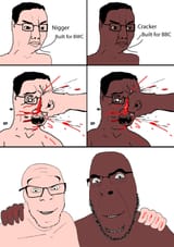 NO MORE RACE WARS