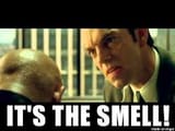 Smell