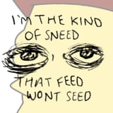 the kind of sneed