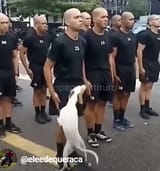 humiliation ritual (3)