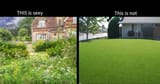 Sexy yard