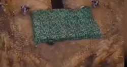 WzLcJuOu0iZk0lZx (1)_thumb.jpg