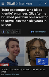 1729866724135445