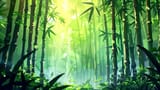 Bamboo