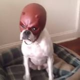 1732871072773