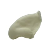 nose