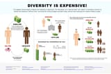 whites-make-nonwhites-take3