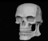 1748564918587482