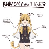 falsetto tiger anatomy_1750711029602184