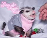 GaryPink