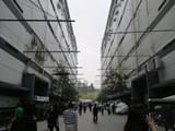 suicide nets