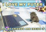 Puterfrens