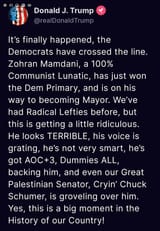 Crying Jewmer the Palestinian