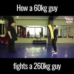 speed vs fat build_thumb.jpg