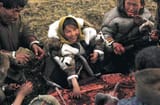 Inuit