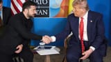 trump-zele