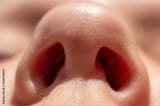 sniff