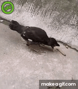 1727621226852688