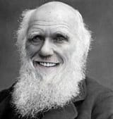 darwin_laughing