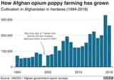 _106598597_afghan_opium_chart-nc