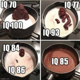 iq