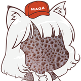 awoo1