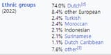 netherlands demographics