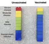 vaccinated