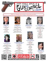 GUNCONTROLupdated