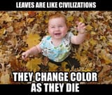 canadian leaf and civilization