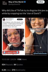libs of TikTok jew