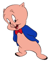 Pigs