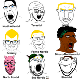 soytype