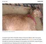 goat fuckers