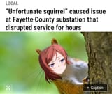 Screenshot_20250529_115919_DuckDuckGo