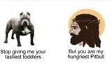 pitbull-Jesus_only_gives_his_tastest_toddlers_to_his_hungriest_pitbull