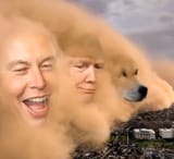 Doge wind