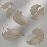 1720710071743517