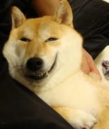 1623301801945