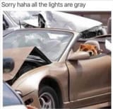 wuff