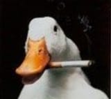 SmartSelect_20250625_215127_DuckDuckGo