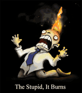the-stupid-it-burns