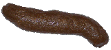 cleanitupjannie