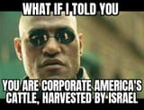 Morpheus